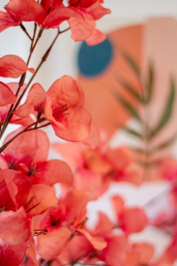 クライストチャーチVibrant City Abode - 2 Bed 2 Bathアパートメント エクステリア 写真